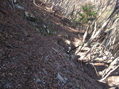 20190121hike (53)